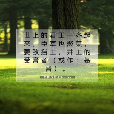 Picture 07 - 使 徒 行 传 4:26 CUVS - 世 上 的 君 王 一 齐 起 来 ， 臣 宰 - Bible Verse Picture