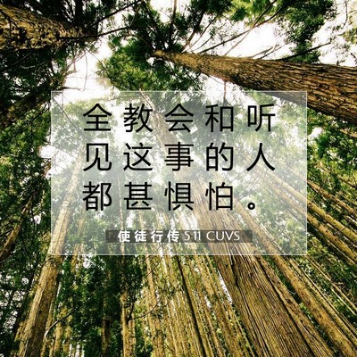 Picture 07 - 使 徒 行 传 5:11 CUVS - 全 教 会 和 听 见 这 事 的 人 都 甚 - Bible Verse Picture