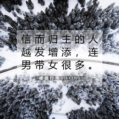 Picture 07 - 使 徒 行 传 5:14 CUVS - 信 而 归 主 的 人 越 发 增 添 ， 连 - Bible Verse Picture