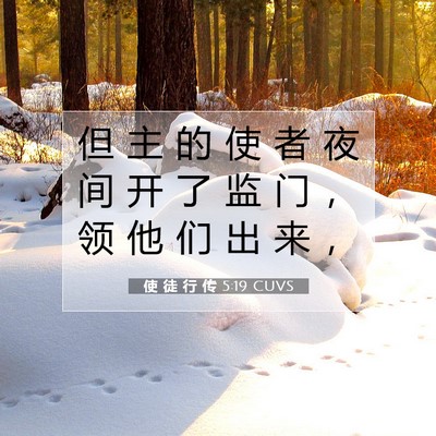 Picture 07 - 使 徒 行 传 5:19 CUVS - 但 主 的 使 者 夜 间 开 了 监 门 ， - Bible Verse Picture