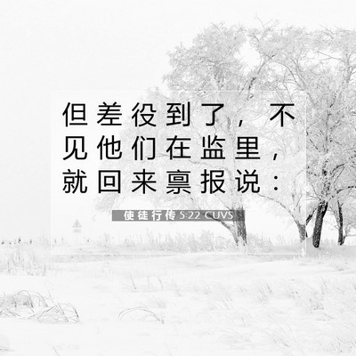 Picture 07 - 使 徒 行 传 5:22 CUVS - 但 差 役 到 了 ， 不 见 他 们 在 监 - Bible Verse Picture