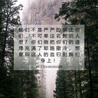 Picture 07 - 使 徒 行 传 5:28 CUVS - 我 们 不 是 严 严 的 禁 止 你 们 ， - Bible Verse Picture
