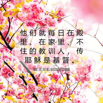 Picture 07 - 使 徒 行 传 5:42 CUVS - 他 们 就 每 日 在 殿 里 、 在 家 里 - Bible Verse Picture
