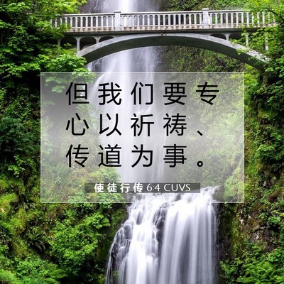 Picture 07 - 使 徒 行 传 6:4 CUVS - 但 我 们 要 专 心 以 祈 祷 、 传 道 - Bible Verse Picture