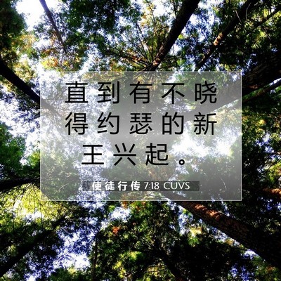 Picture 07 - 使 徒 行 传 7:18 CUVS - 直 到 有 不 晓 得 约 瑟 的 新 王 兴 - Bible Verse Picture