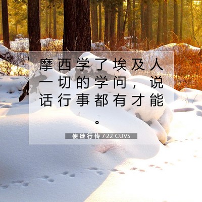 Picture 07 - 使 徒 行 传 7:22 CUVS - 摩 西 学 了 埃 及 人 一 切 的 学 问 - Bible Verse Picture