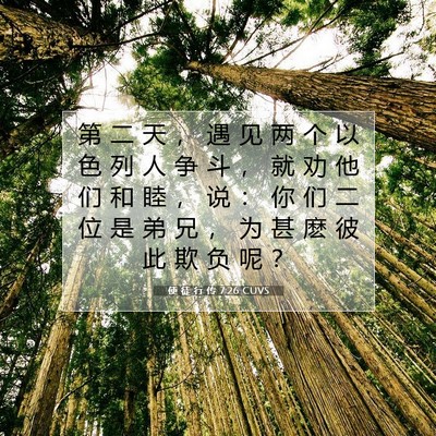 Picture 07 - 使 徒 行 传 7:26 CUVS - 第 二 天 ， 遇 见 两 个 以 色 列 人 - Bible Verse Picture