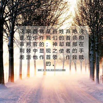 Picture 07 - 使 徒 行 传 7:35 CUVS - 这 摩 西 就 是 百 姓 弃 绝 说 谁 立 - Bible Verse Picture