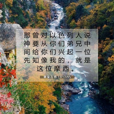 Picture 07 - 使 徒 行 传 7:37 CUVS - 那 曾 对 以 色 列 人 说 神 要 从 你 - Bible Verse Picture