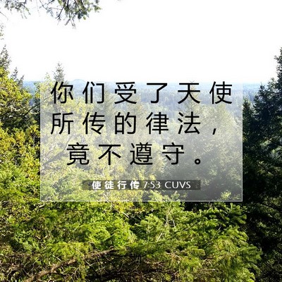 Picture 07 - 使 徒 行 传 7:53 CUVS - 你 们 受 了 天 使 所 传 的 律 法 ， - Bible Verse Picture
