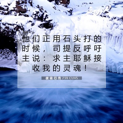 Picture 07 - 使 徒 行 传 7:59 CUVS - 他 们 正 用 石 头 打 的 时 候 ， 司 - Bible Verse Picture