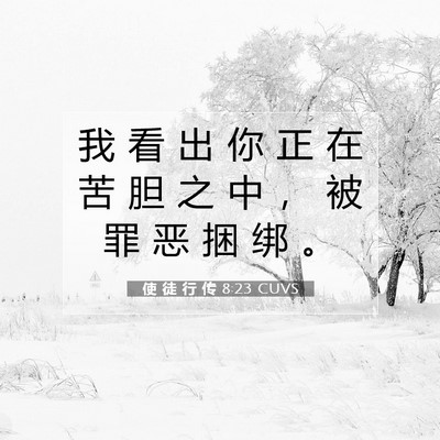 Picture 07 - 使 徒 行 传 8:23 CUVS - 我 看 出 你 正 在 苦 胆 之 中 ， 被 - Bible Verse Picture