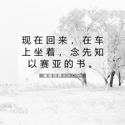 Picture 07 - 使 徒 行 传 8:28 CUVS - 现 在 回 来 ， 在 车 上 坐 着 ， 念 - Bible Verse Picture