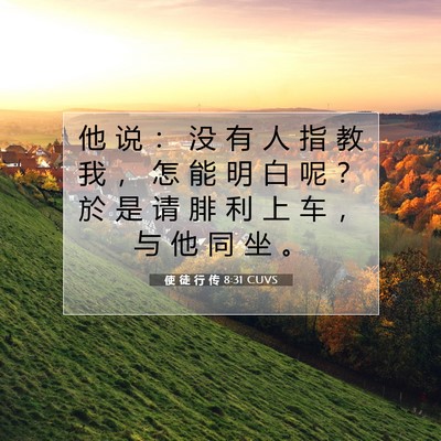 Picture 07 - 使 徒 行 传 8:31 CUVS - 他 说 ： 没 有 人 指 教 我 ， 怎 能 - Bible Verse Picture