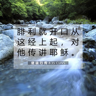 Picture 07 - 使 徒 行 传 8:35 CUVS - 腓 利 就 开 口 从 这 经 上 起 ， 对 - Bible Verse Picture