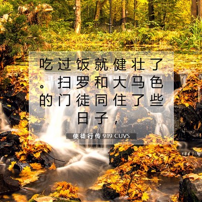 Picture 07 - 使 徒 行 传 9:19 CUVS - 吃 过 饭 就 健 壮 了 。 扫 罗 和 大 - Bible Verse Picture