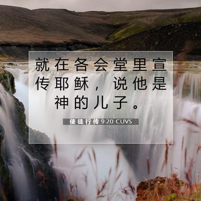 Picture 07 - 使 徒 行 传 9:20 CUVS - 就 在 各 会 堂 里 宣 传 耶 稣 ， 说 - Bible Verse Picture