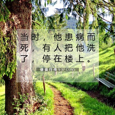 Picture 07 - 使 徒 行 传 9:37 CUVS - 当 时 ， 他 患 病 而 死 ， 有 人 把 - Bible Verse Picture