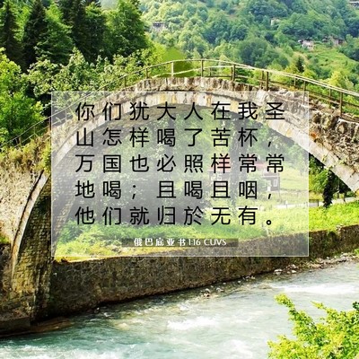 Picture 07 - 俄 巴 底 亚 书 1:16 CUVS - 你 们 犹 大 人 在 我 圣 山 怎 样 喝 - Bible Verse Picture