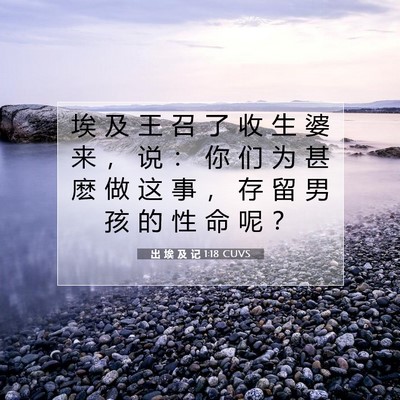 Picture 07 - 出 埃 及 记 1:18 CUVS - 埃 及 王 召 了 收 生 婆 来 ， 说 ： - Bible Verse Picture