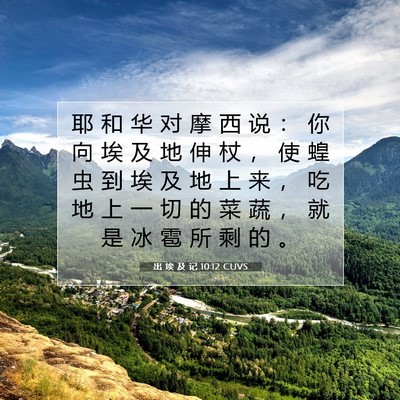Picture 07 - 出 埃 及 记 10:12 CUVS - 耶 和 华 对 摩 西 说 ： 你 向 埃 及 - Bible Verse Picture