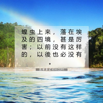 Picture 07 - 出 埃 及 记 10:14 CUVS - 蝗 虫 上 来 ， 落 在 埃 及 的 四 境 - Bible Verse Picture
