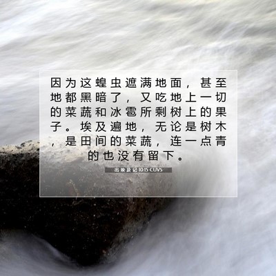 Picture 07 - 出 埃 及 记 10:15 CUVS - 因 为 这 蝗 虫 遮 满 地 面 ， 甚 至 - Bible Verse Picture
