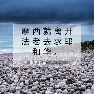 Picture 07 - 出 埃 及 记 10:18 CUVS - 摩 西 就 离 开 法 老 去 求 耶 和 华 - Bible Verse Picture