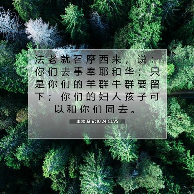 Picture 07 - 出 埃 及 记 10:24 CUVS - 法 老 就 召 摩 西 来 ， 说 ： 你 们 - Bible Verse Picture