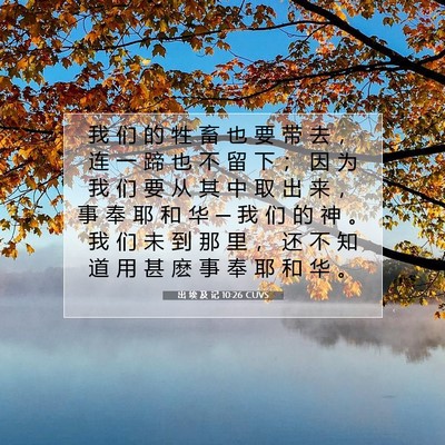 Picture 07 - 出 埃 及 记 10:26 CUVS - 我 们 的 牲 畜 也 要 带 去 ， 连 一 - Bible Verse Picture