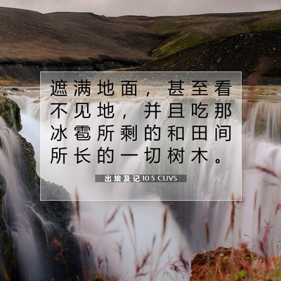 Picture 07 - 出 埃 及 记 10:5 CUVS - 遮 满 地 面 ， 甚 至 看 不 见 地 ， - Bible Verse Picture