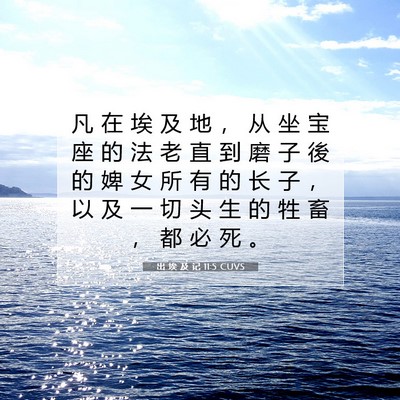 Picture 07 - 出 埃 及 记 11:5 CUVS - 凡 在 埃 及 地 ， 从 坐 宝 座 的 法 - Bible Verse Picture