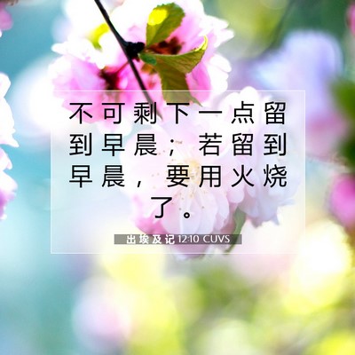 Picture 07 - 出 埃 及 记 12:10 CUVS - 不 可 剩 下 一 点 留 到 早 晨 ； 若 - Bible Verse Picture
