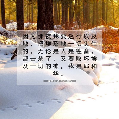 Picture 07 - 出 埃 及 记 12:12 CUVS - 因 为 那 夜 我 要 巡 行 埃 及 地 ， - Bible Verse Picture
