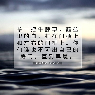 Picture 07 - 出 埃 及 记 12:22 CUVS - 拿 一 把 牛 膝 草 ， 蘸 盆 里 的 血 - Bible Verse Picture