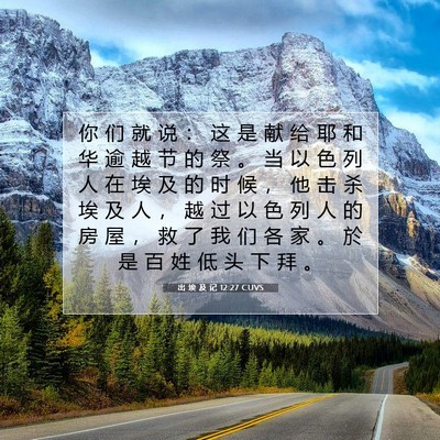 Picture 07 - 出 埃 及 记 12:27 CUVS - 你 们 就 说 ： 这 是 献 给 耶 和 华 - Bible Verse Picture