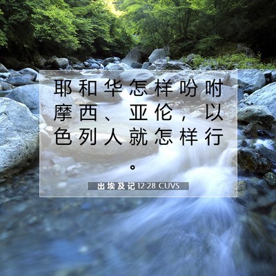 Picture 07 - 出 埃 及 记 12:28 CUVS - 耶 和 华 怎 样 吩 咐 摩 西 、 亚 伦 - Bible Verse Picture
