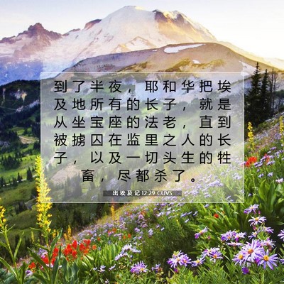 Picture 07 - 出 埃 及 记 12:29 CUVS - 到 了 半 夜 ， 耶 和 华 把 埃 及 地 - Bible Verse Picture