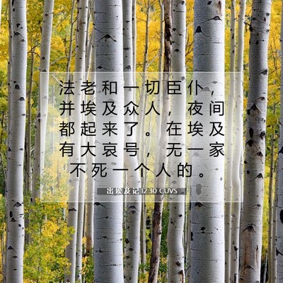 Picture 07 - 出 埃 及 记 12:30 CUVS - 法 老 和 一 切 臣 仆 ， 并 埃 及 众 - Bible Verse Picture