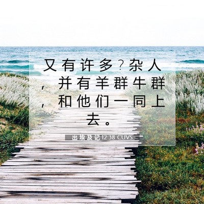 Picture 07 - 出 埃 及 记 12:38 CUVS - 又 有 许 多 ? 杂 人 ， 并 有 羊 群 牛 - Bible Verse Picture