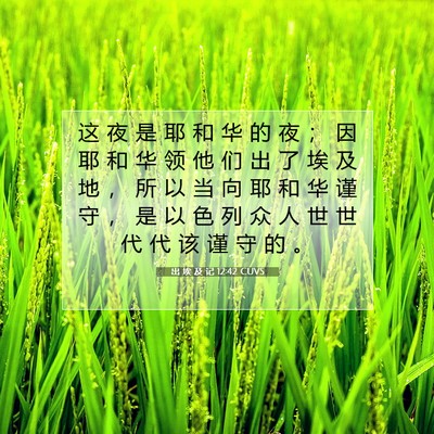 Picture 07 - 出 埃 及 记 12:42 CUVS - 这 夜 是 耶 和 华 的 夜 ； 因 耶 和 - Bible Verse Picture