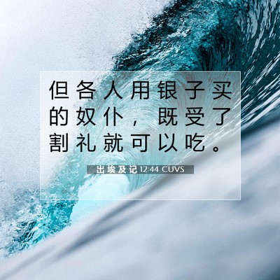 Picture 07 - 出 埃 及 记 12:44 CUVS - 但 各 人 用 银 子 买 的 奴 仆 ， 既 - Bible Verse Picture