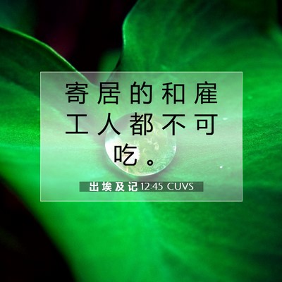 Picture 07 - 出 埃 及 记 12:45 CUVS - 寄 居 的 和 雇 工 人 都 不 可 吃 - Bible Verse Picture