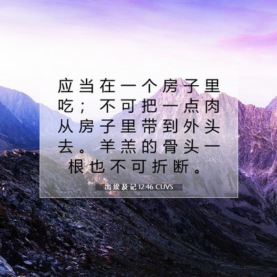 Picture 07 - 出 埃 及 记 12:46 CUVS - 应 当 在 一 个 房 子 里 吃 ； 不 可 - Bible Verse Picture
