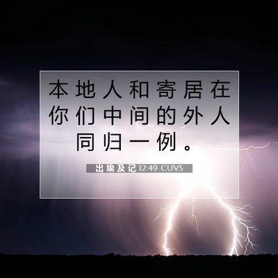 Picture 07 - 出 埃 及 记 12:49 CUVS - 本 地 人 和 寄 居 在 你 们 中 间 的 - Bible Verse Picture