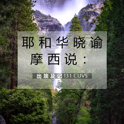 Picture 07 - 出 埃 及 记 13:1 CUVS - 耶 和 华 晓 谕 摩 西 说 - Bible Verse Picture