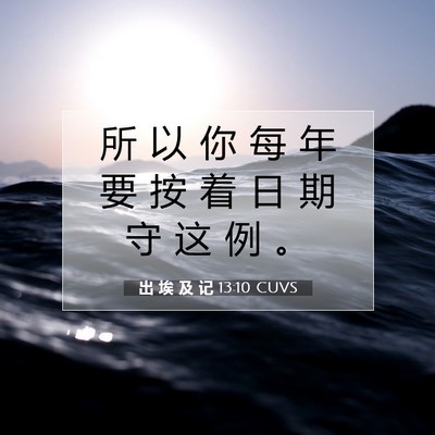 Picture 07 - 出 埃 及 记 13:10 CUVS - 所 以 你 每 年 要 按 着 日 期 守 这 - Bible Verse Picture
