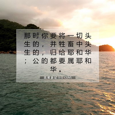 Picture 07 - 出 埃 及 记 13:12 CUVS - 那 时 你 要 将 一 切 头 生 的 ， 并 - Bible Verse Picture