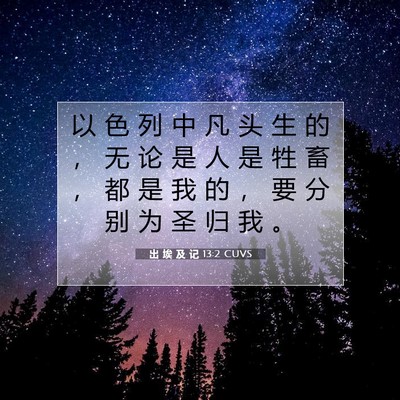 Picture 07 - 出 埃 及 记 13:2 CUVS - 以 色 列 中 凡 头 生 的 ， 无 论 是 - Bible Verse Picture