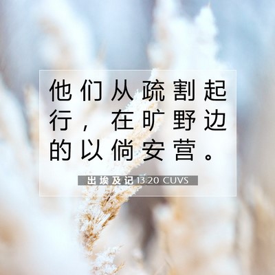 Picture 07 - 出 埃 及 记 13:20 CUVS - 他 们 从 疏 割 起 行 ， 在 旷 野 边 - Bible Verse Picture